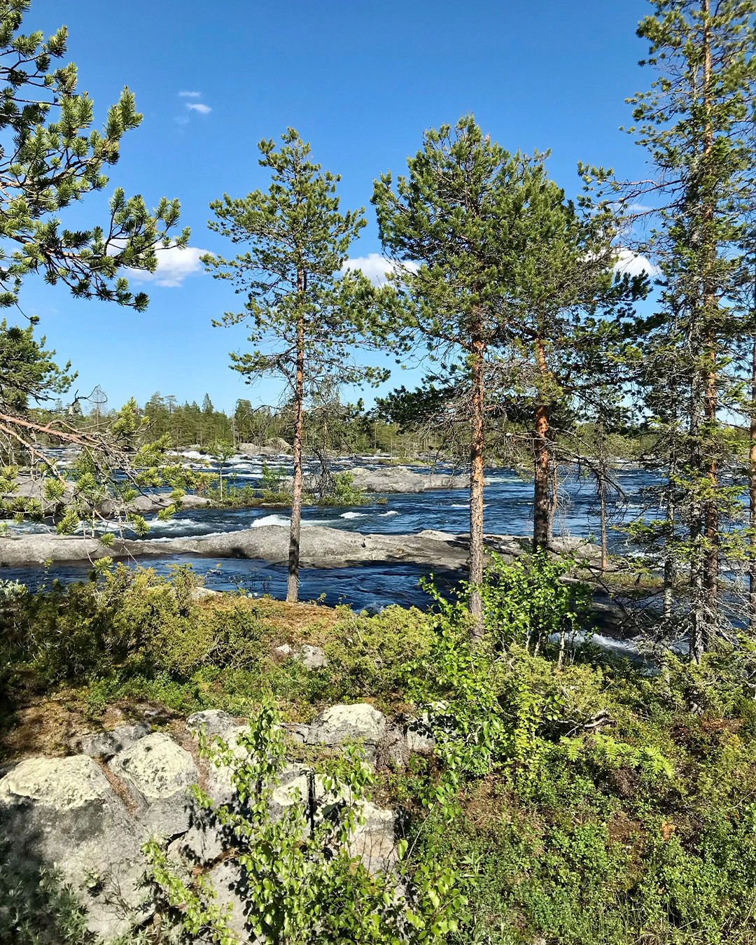 vinnare_tävling_muurikka_minne_4.jpg
